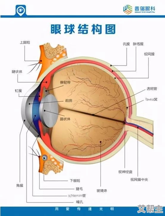 震惊！九幺黄台引发大规模关注，背后隐藏的真相竟令人瞠目结舌！