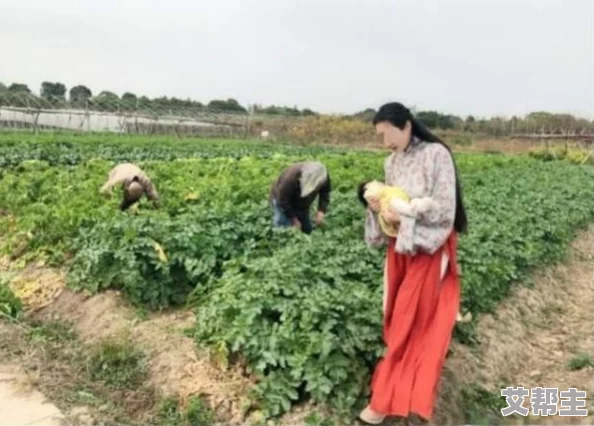 怎么拔萝卜溜牛奶：从传统农耕到现代饮食文化的演变与影响分析