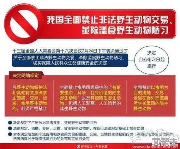 国产嘼皇bestiality惊现新趋势，非法交易频发！相关部门紧急介入调查，引发社会热议！