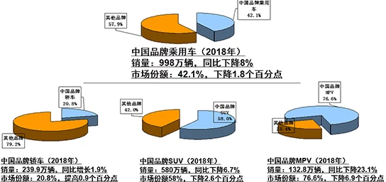 国产suv精品一区二区69：解析中国自主品牌SUV的崛起与市场表现及消费者偏好分析