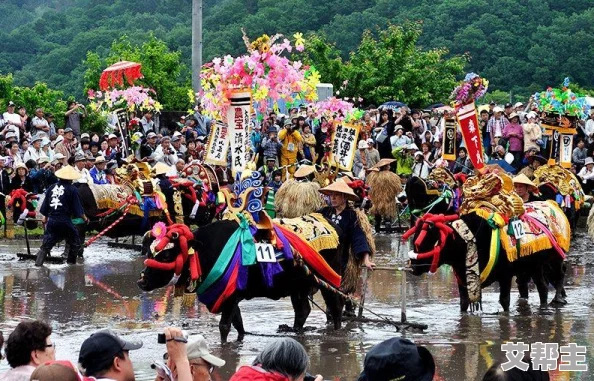 《王者荣耀》祈愿花高效获取攻略：助你迅速提升游戏乐趣与体验