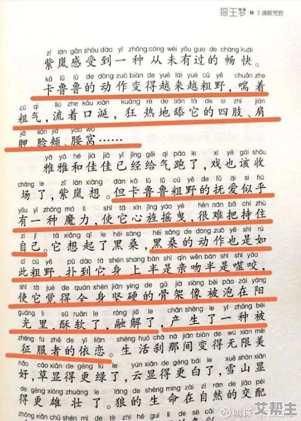 很黄很黄很肉麻的小说：当代文学中的禁忌与挑战，如何引发社会热议与文化反思？