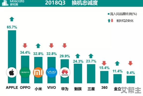 “国产综合91”震惊曝光：全球用户数据泄露，数百万隐私信息面临风险，引发网络安全大讨论！