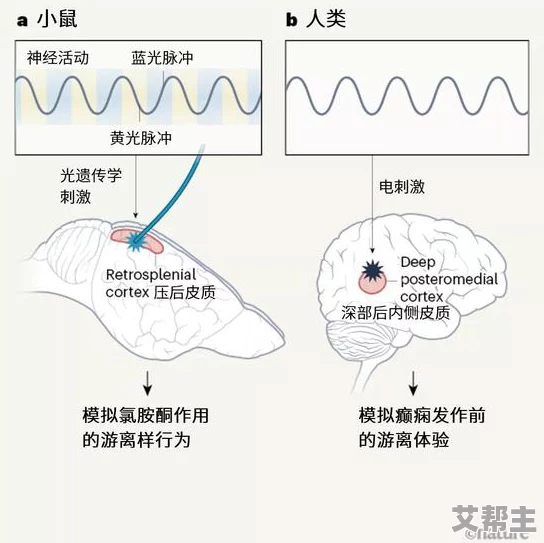 打屁股主人惩罚高h，这种情节真是让人感到刺激又禁忌，充满了幻想的色彩