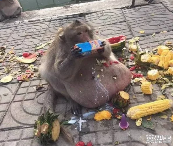 两人生猴子的全过程不盖被子，真是让人哭笑不得，这样的生活方式太奇特了！