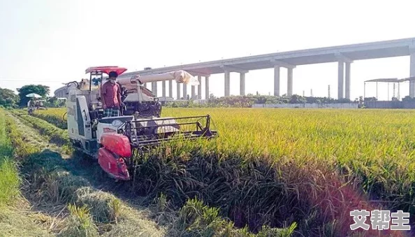 两峰夹小溪地湿又无泥诗：最新动态揭示了自然景观与生态保护的紧密联系，呼吁关注环境变化