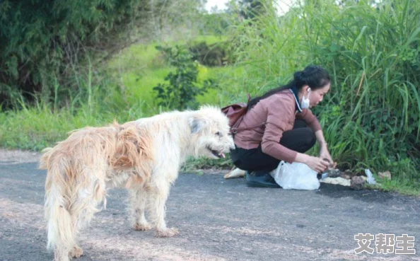 一回家狗狗就要上我全集狗狗的热情欢迎让主人感受到无尽的爱与温暖每次回家都是一次幸福的重聚