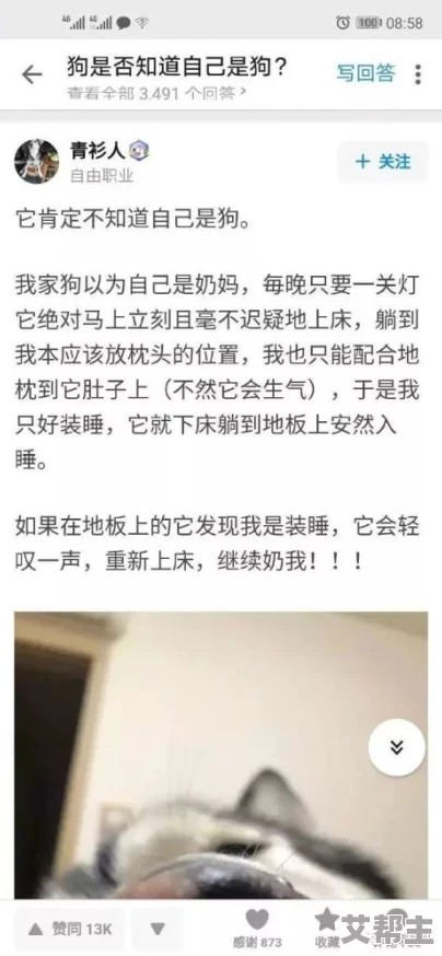 网友评价《国产一二三》剧情紧凑，演员表现出色，反映社会现实问题