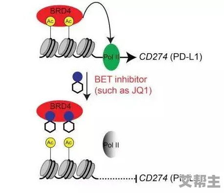 亚洲第一区在线中国科学家发现新型抗癌化合物，有望提高疗效